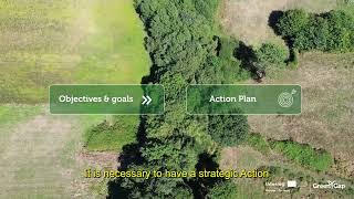 Learning pill 5 | Strategic Framework and Action Plan