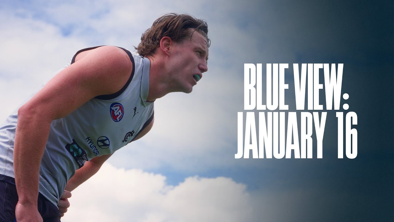 Blue View | Training Close-Up