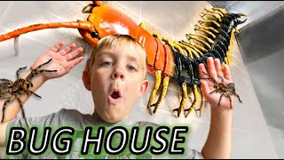 BUG HOUSE & REAL BUGS!!  ROACHES, Millipede HUGE Beetles, Katydids, SPIDERS & MORE!!