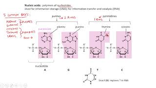 CHEM 313 lecture 18 (summer 2020)