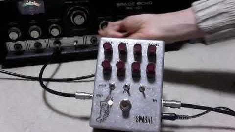 DIY FUZZ 4ms Noise Swash mini & Roland Space Echo