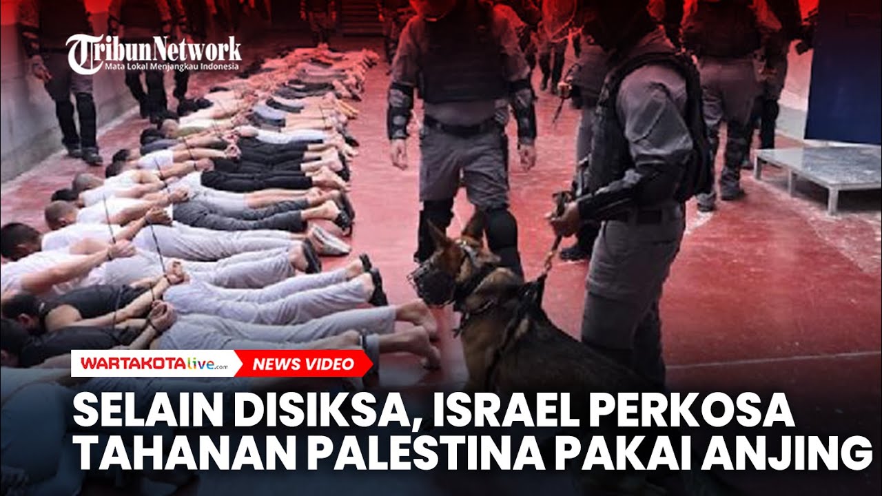 Bukan Hanya Disiksa, Israel Perkosa Tahanan Palestina Pakai Anjing