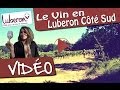 Ref:TylRbbCuA3o Le vin en luberon c�t� sud