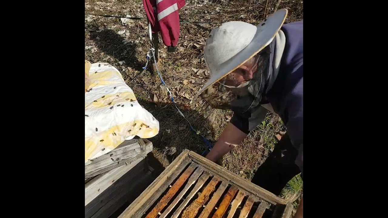 Пчеловодство без химии - меры по борьбе с роением и весенняя распушка в одном ударе.