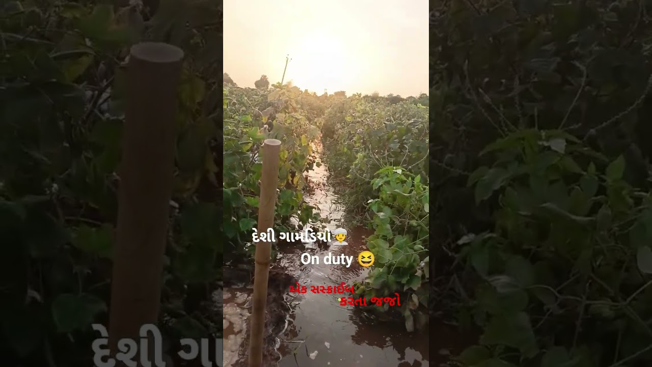 #ખેડુતપુત્ર_ગુજરાતી