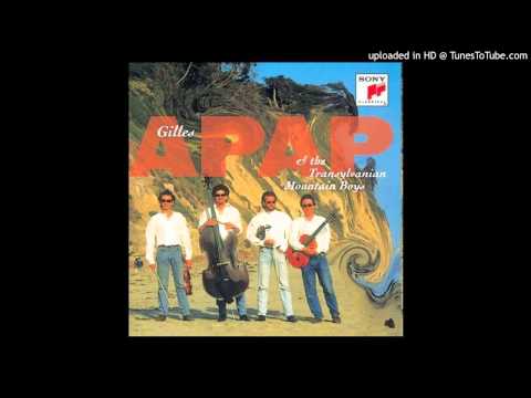 Gilles Apap & The Transylvanian Mountain Boys - Java Manouche