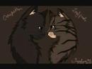 Warrior Cats Forbiden Couples - Everytime We Touch