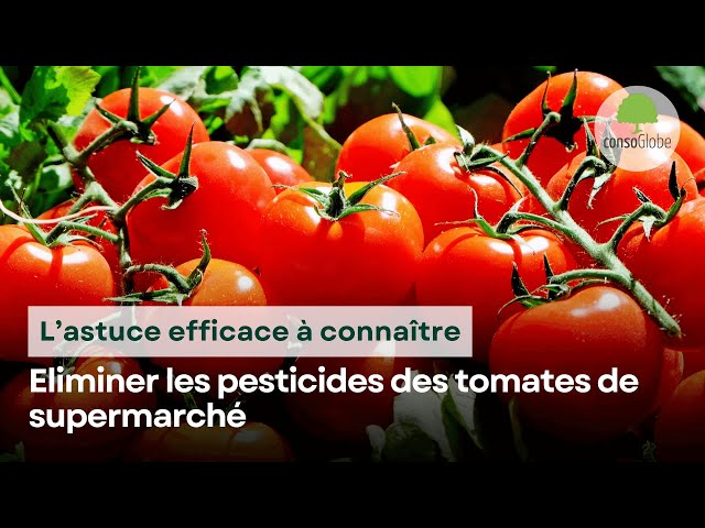 Eliminer les pesticides des tomates de supermarché : l’astuce efficace à connaître class=