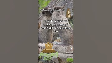 #groundhogday #groundhog #philpunxsutawney #marmots #marmot #rodent #woodchuck #spring #relax