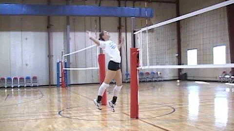 Allison Hargis