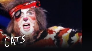 The Costumes - Australia | Cats the Musical