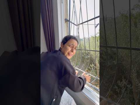 Kedileri besleme fikri