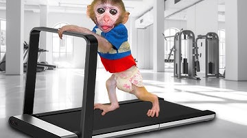 Monkey Chu Chu Runs on the treadmill and eats ice cream with baby ducks in the garden