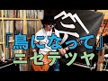 【弾いてみた】鳥になって(Live ver.)【ニセ テツヤ】