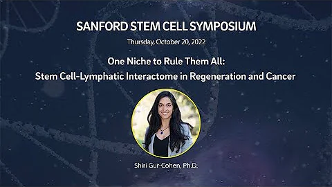 One Niche to Rule Them All: Stem Cell-Lymphatic Interactome in Regeneration and Cancer