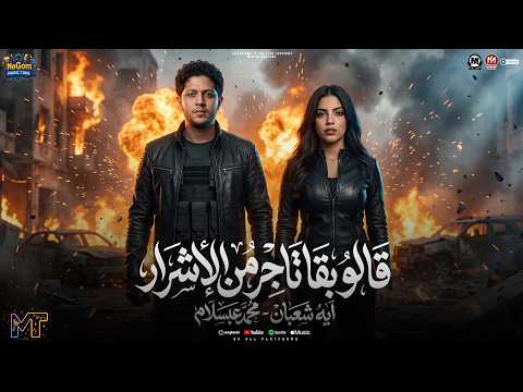 قالو بقا تاجر من الاشرار ( لا نو درجز خلاص يا دماغى ) ايه شعبان - محمد عبدالسلام - مواويل شعبى 2026