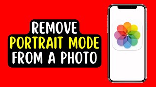 How to Remove Portrait Mode from a Photo (2022) screenshot 4