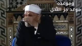 الشيخ محمد متولي الشعراوي