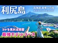 【利尻島】北海道の激うまグルメ大満喫！人気観光地・コスパ最強宿・絶景・穴場もたっぷりご紹介！最強モデルコース（北海道旅行/北海道観光/離島）