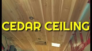 Transit Campervan Build - Cedar Ceiling.