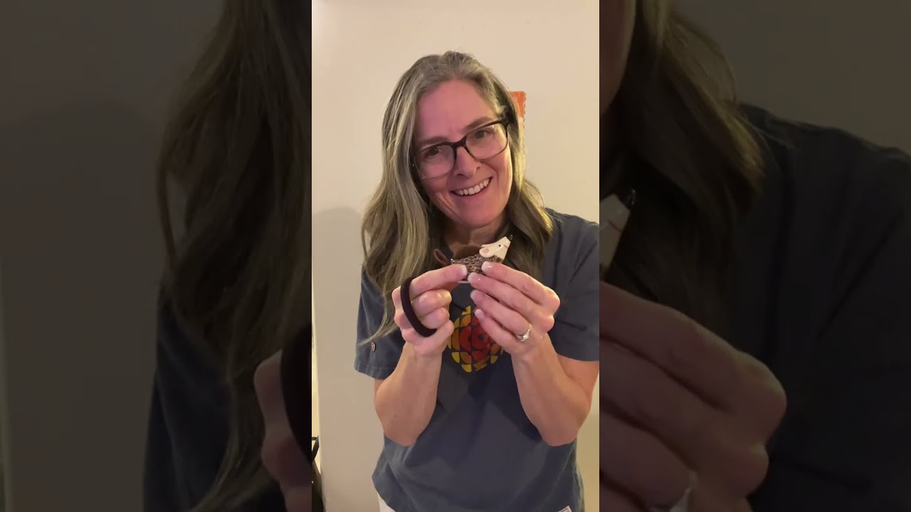 Покупки на QuiltCon 2026!