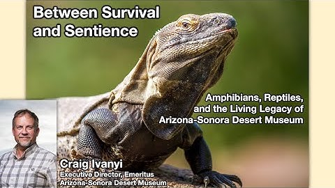 Craig Ivanyi - Zoos, Herps, and the Living Legacy of the ASDM