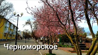 Черноморское-Во что ПРЕВРАТИЛИ этот посёлок..Такого ещё не было  в КРЫМУ!Крым сегодня.