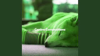 Suave Sleek Doggy