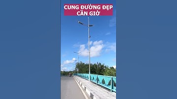 Cung đường Rừng Sác Cần Giờ #shorts