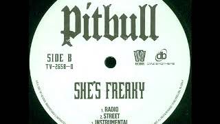 Pitbull - She&#39;s Freaky (Instrumental)