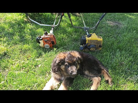 Vidéo: Coupe-herbe 