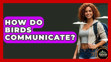 How Do Birds Communicate? - Exploring Campgrounds