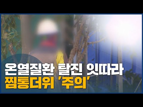 부산경남 한달새 더위로 100명 쓰러져 2명 사망