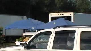 flea market croswell