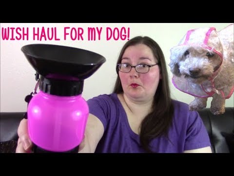 wish-haul-of-dog-stuff!