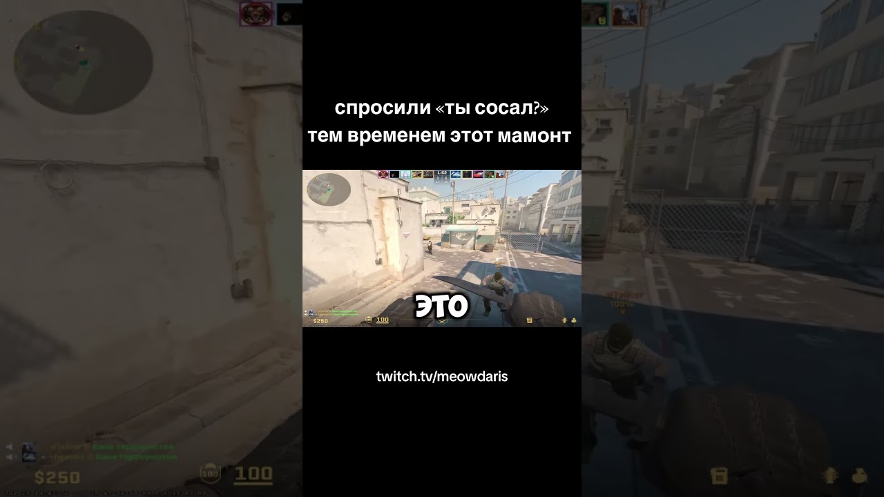 мой твитч: meowdaris 🎮 