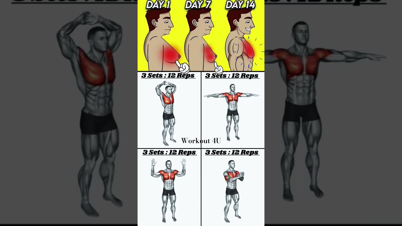 Chest Workout At Home 🏡 / Chest Exercise 💪
