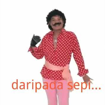 Burung Sule .ngok ngok