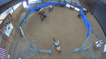 Big Sky Ranch Sorting Saddle Series #6 - #3 - Round #1 - Ride #23