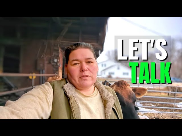 Calf Birth And A REAL Personal Talk