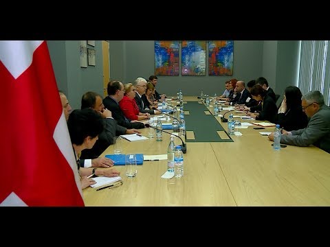 შინაგან საქმეთა მინისტრი გიორგი გახარია წამების საწინააღმდეგო ევროპული კომიტეტის წევრებს შეხვდა