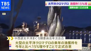 太平洋クロマグロ 漁獲枠１５％増で正式に合意