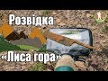 НОВЕ МІСЦЕ ПОРАДУВАЛО. РОЗВІДКА. Коп в лісі з металошукачем Квазар АРМ. Пошук артефактів в Україні