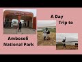 VLOG: A DAY TRIP TO AMBOSELI NATIONAL PARK // Kenya Travel Vlog // WANGUI GATHOGO