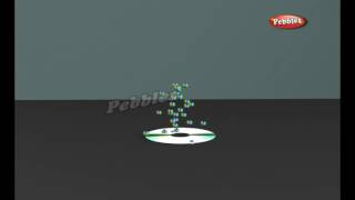 How Devices work | Compact disc | How Stuff Works | Science For Kids
