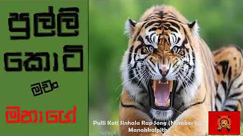 Pulli Koti Sinhala Rap Song Number 12 damith vweo