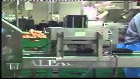 Speed Tray Denesters from Packaging Automation Pty Ltd