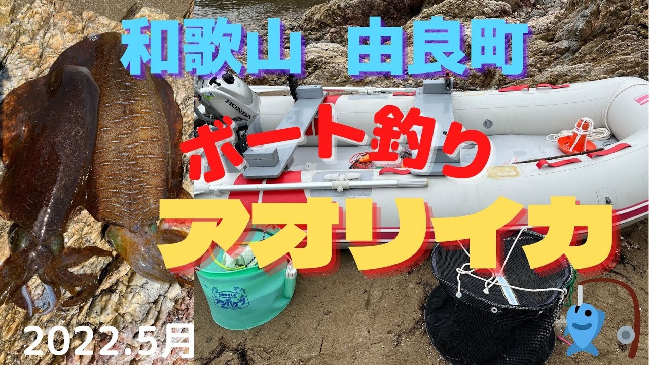 ボート釣り 和歌山県 由良町でアオリイカを釣る Youtube