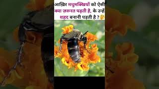 Aakhir Madhumakkhiyan Shahad Banati Hi Kyon Hai ?