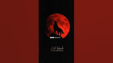 تلاوة خاشعة من سورة يوسف بصوت رهيب جدا استمع ولان تندم